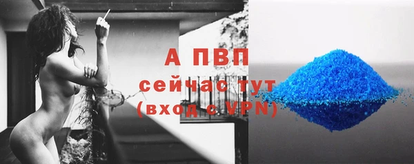 мяу мяу мука Балабаново